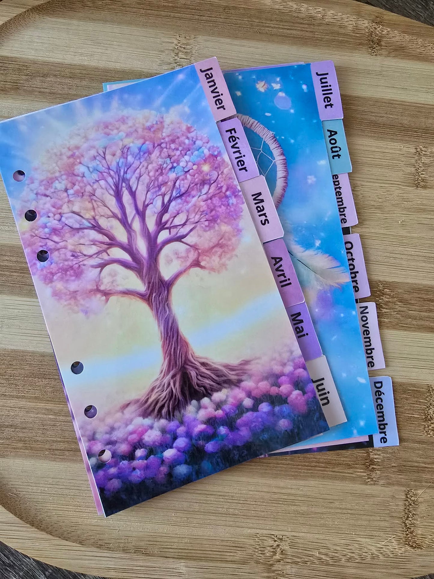 Commande Daphné